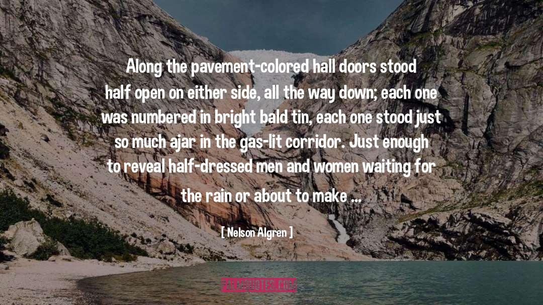 Rain Alley quotes by Nelson Algren