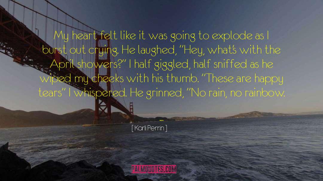 Rain Alley quotes by Karli Perrin