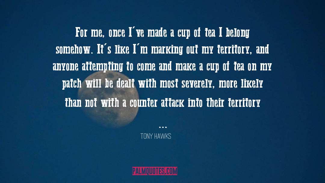 Rain And Cup Of Tea quotes by Tony Hawks