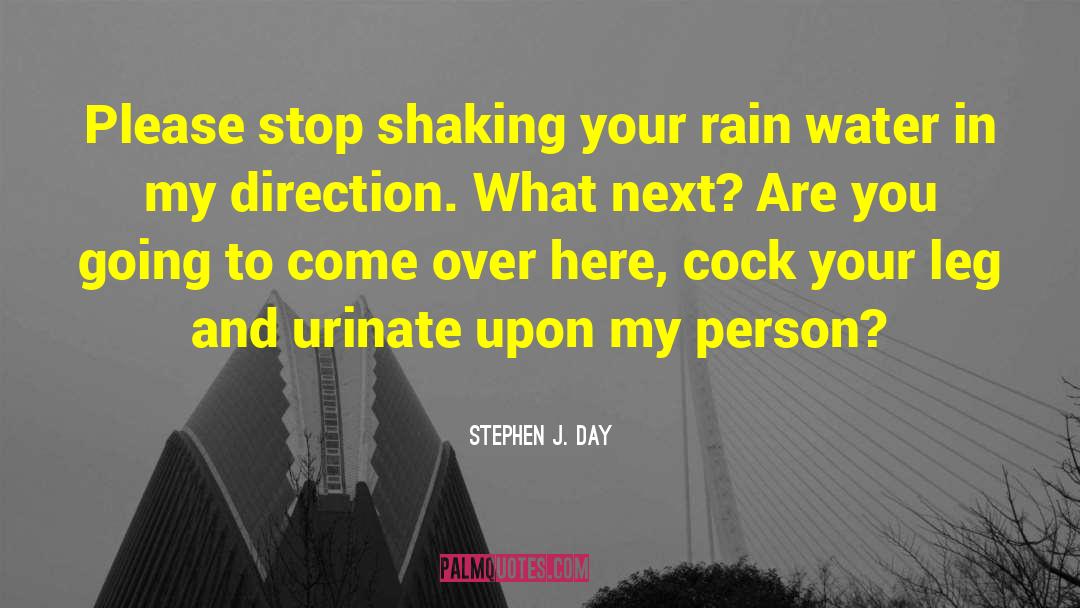Rain And Funerals quotes by Stephen J. Day