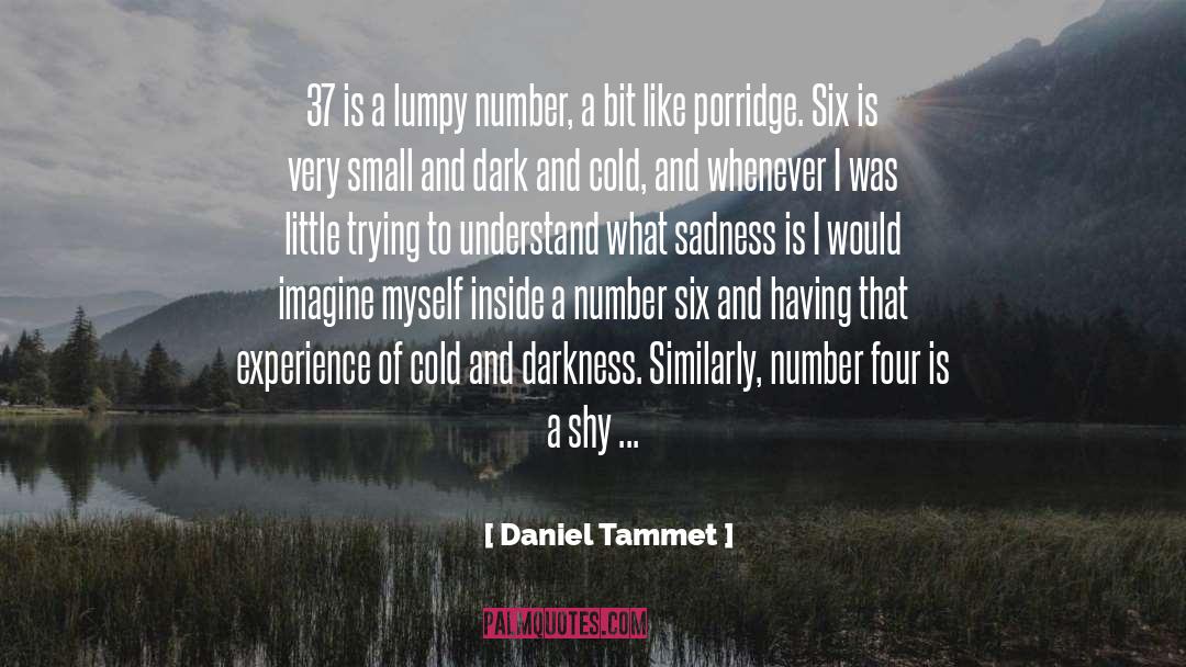 Rain And Sadness quotes by Daniel Tammet