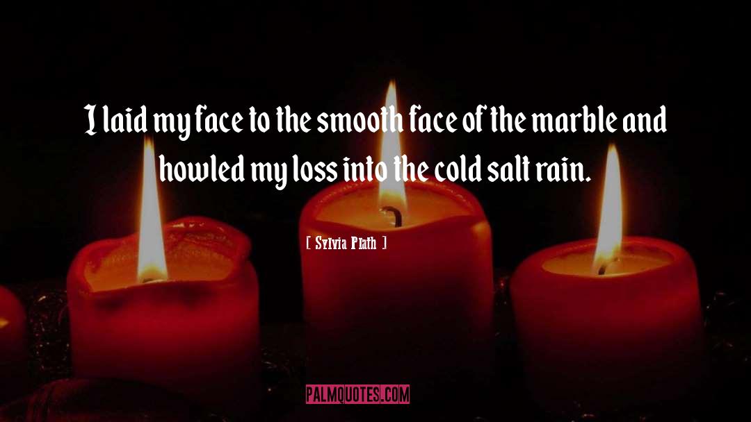 Rain And Snow quotes by Sylvia Plath