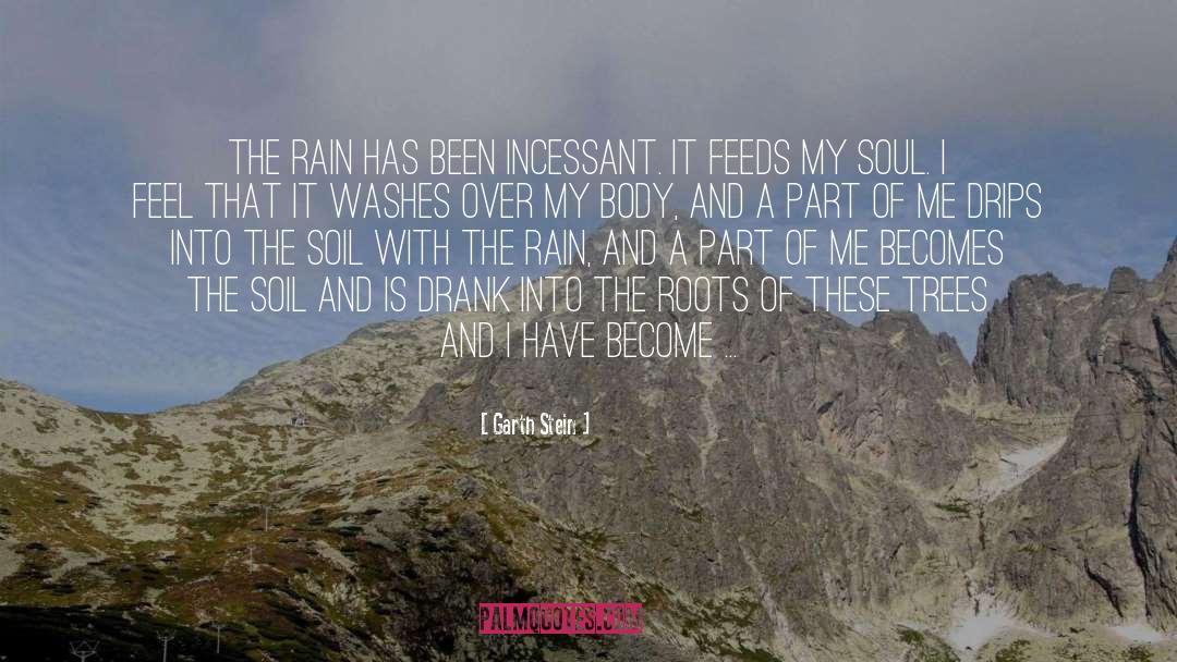 Rain Bojangles quotes by Garth Stein