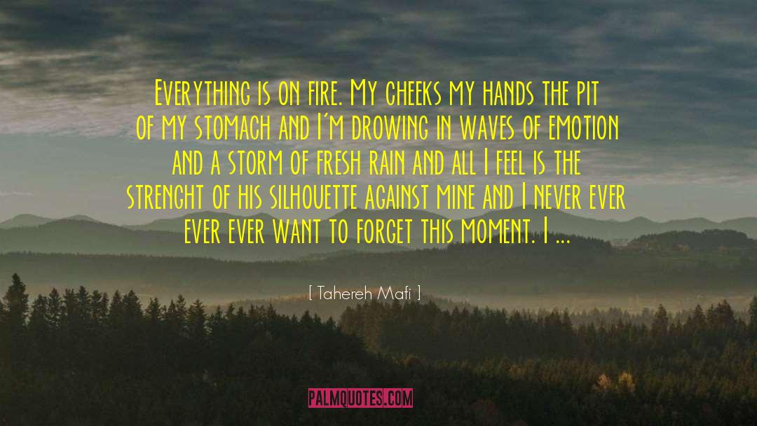 Rain Clouds quotes by Tahereh Mafi