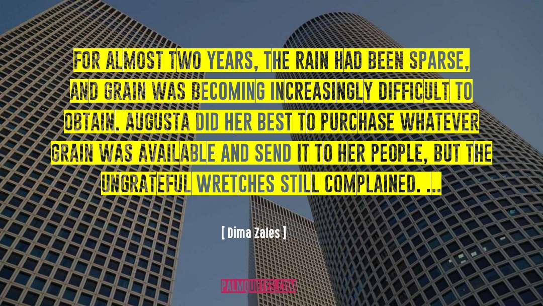 Rain Clouds quotes by Dima Zales