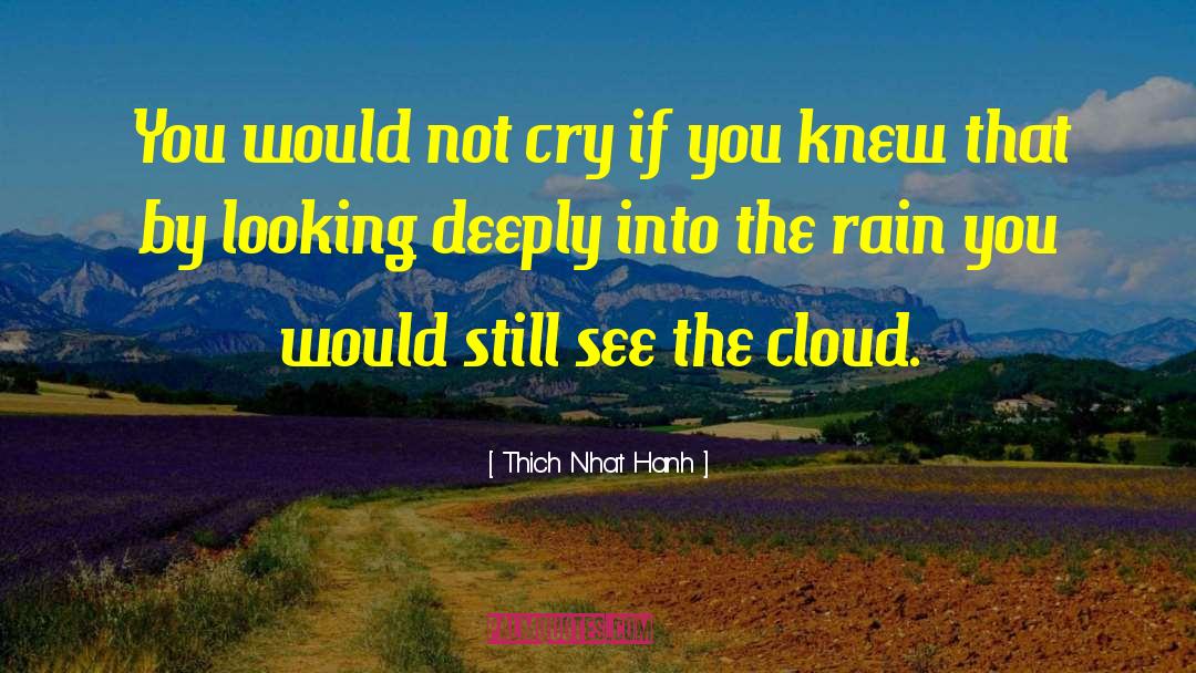 Rain Clouds quotes by Thich Nhat Hanh