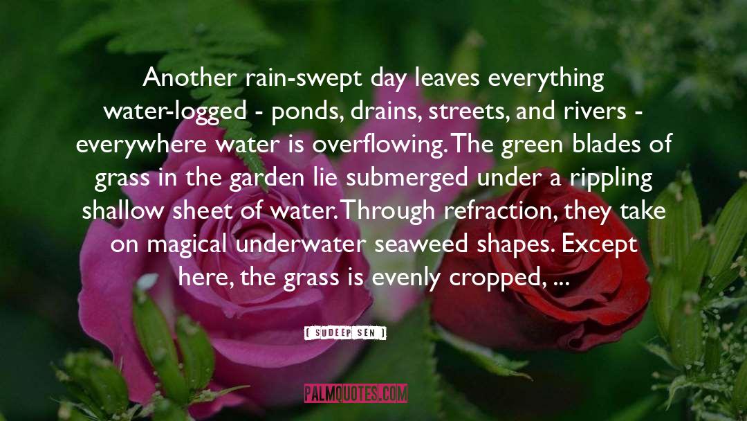 Rain Drop quotes by Sudeep Sen