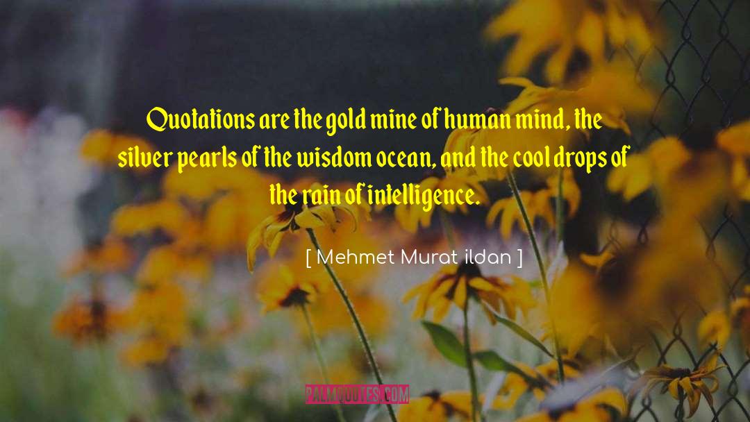 Rain Drop quotes by Mehmet Murat Ildan