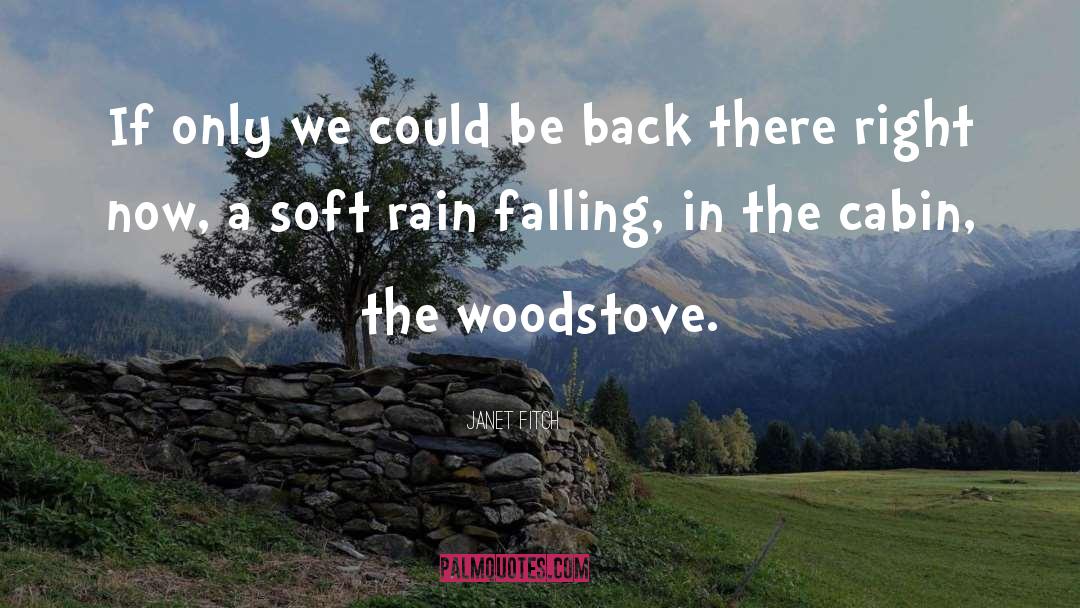 Rain Falling quotes by Janet Fitch