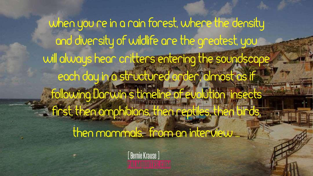 Rain Forest quotes by Bernie Krause