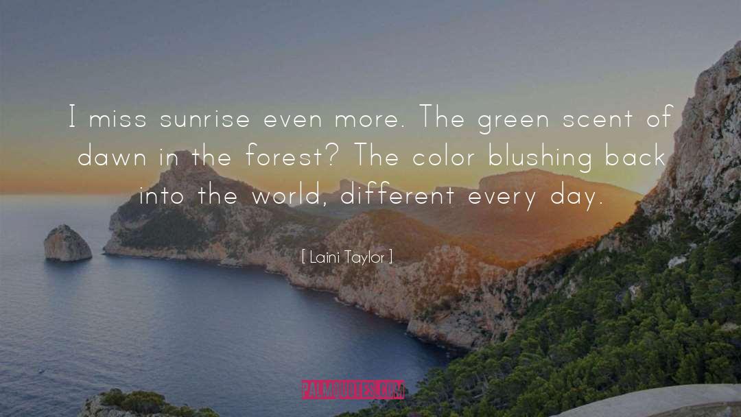Rain Forest quotes by Laini Taylor
