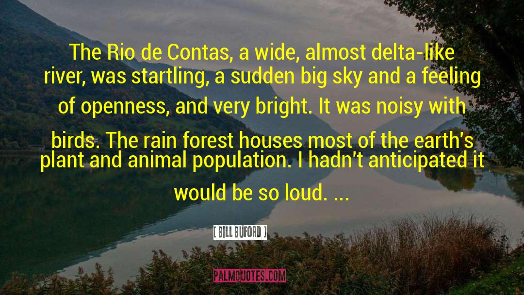 Rain Forest quotes by Bill Buford