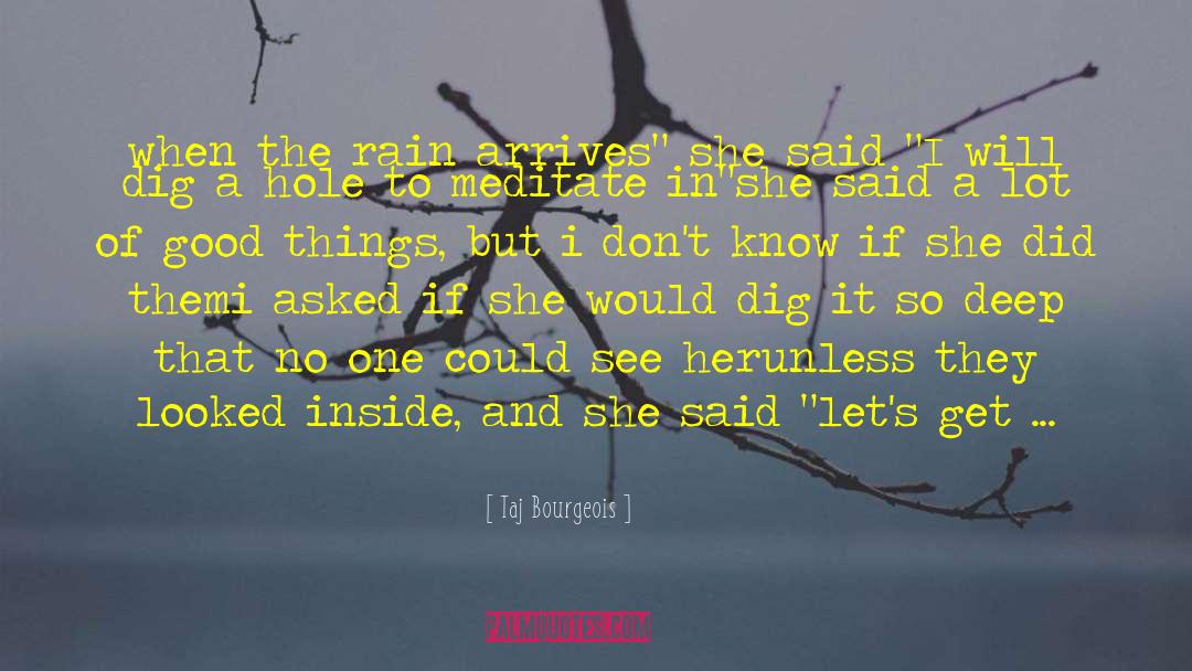 Rain Horse quotes by Taj Bourgeois