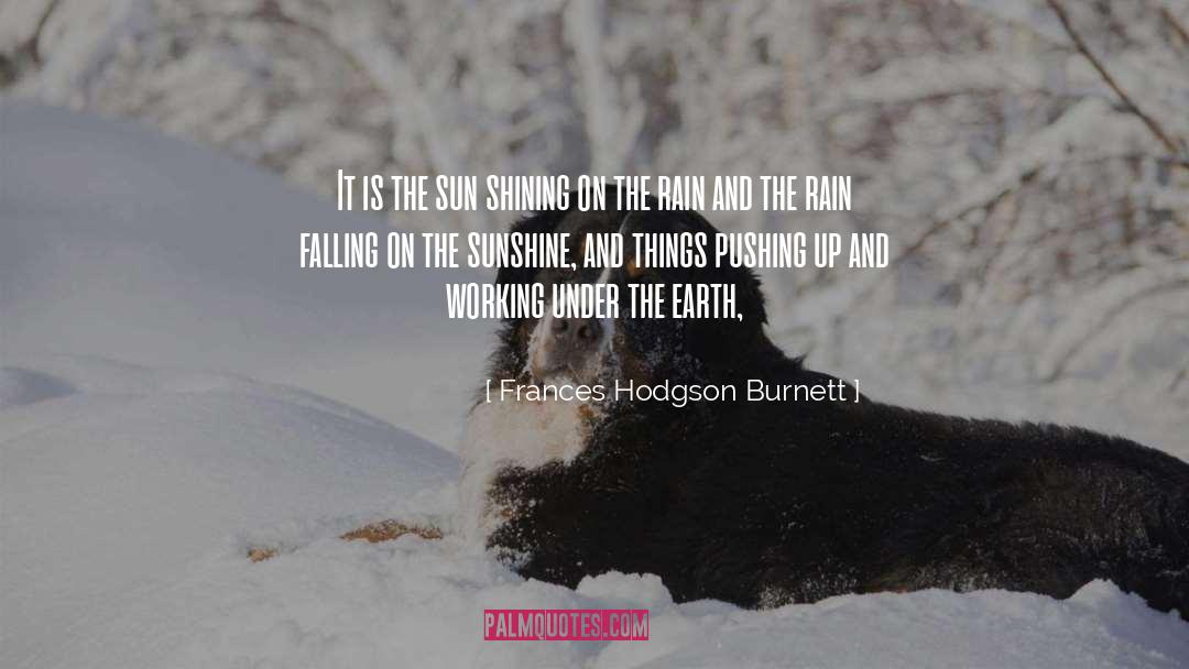 Rain quotes by Frances Hodgson Burnett
