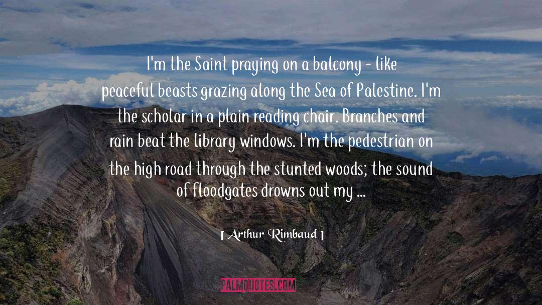Rain quotes by Arthur Rimbaud