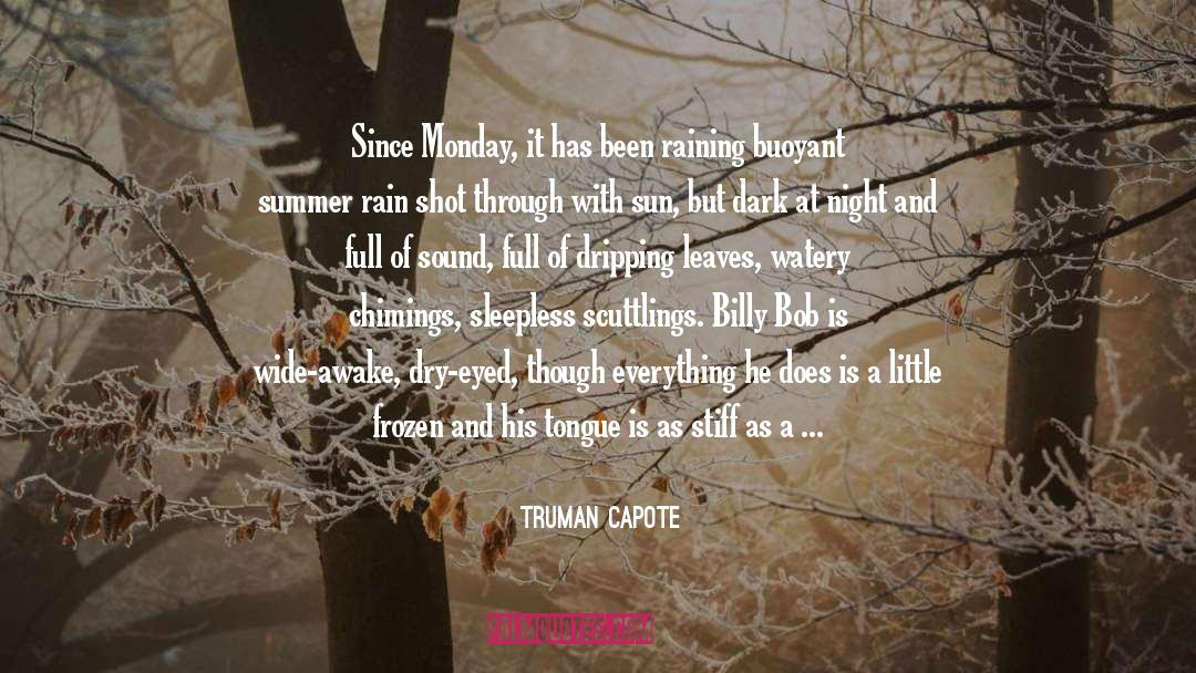 Rain quotes by Truman Capote