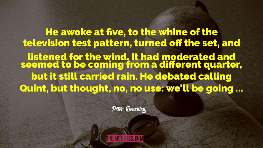 Rain Status quotes by Peter Benchley