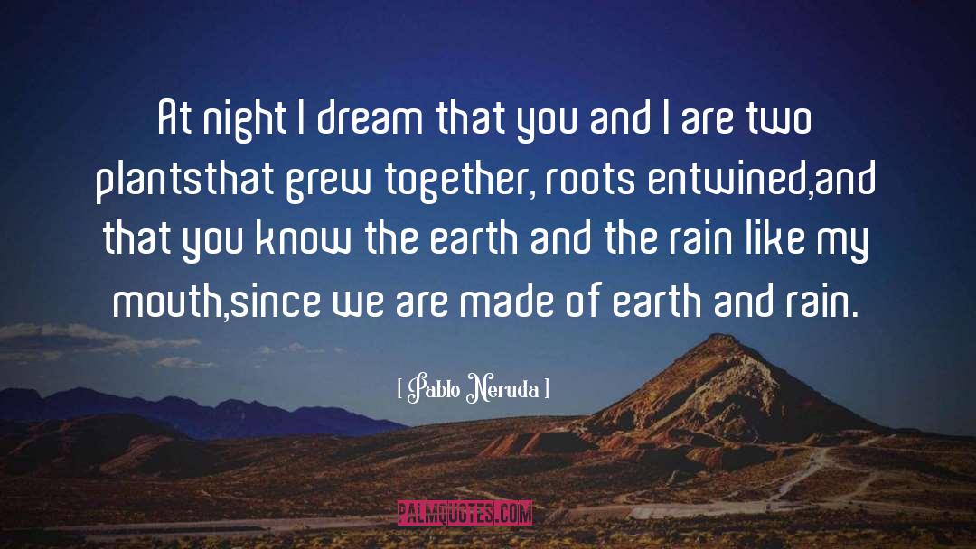 Rain Traveling quotes by Pablo Neruda
