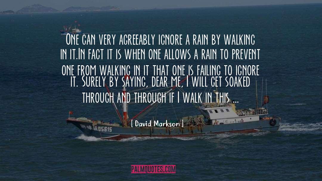 Rain Traveling quotes by David Markson