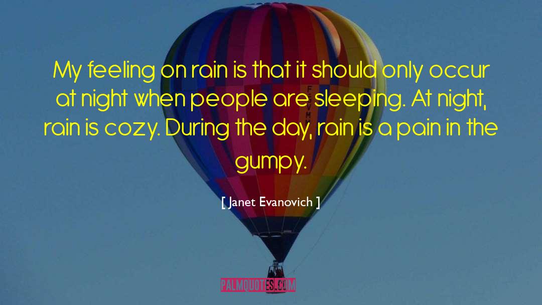 Rain Traveling quotes by Janet Evanovich