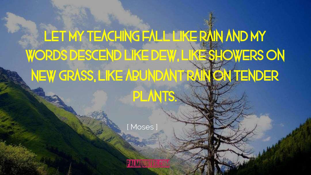 Rain Traveling quotes by Moses