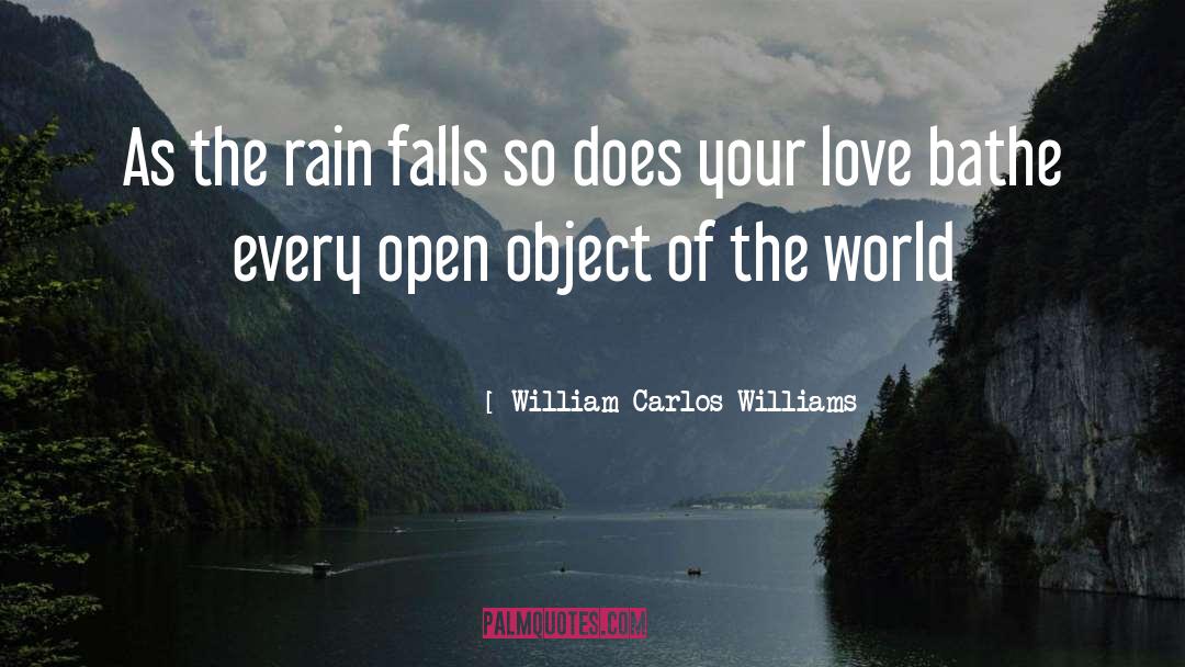 Rain Traveling quotes by William Carlos Williams