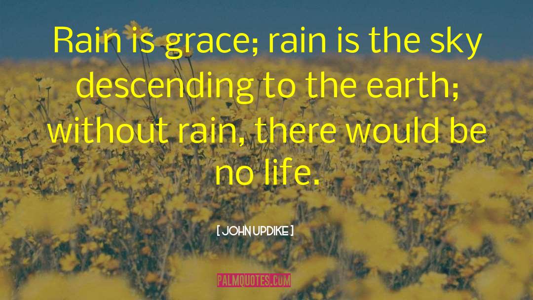 Rain Traveling quotes by John Updike