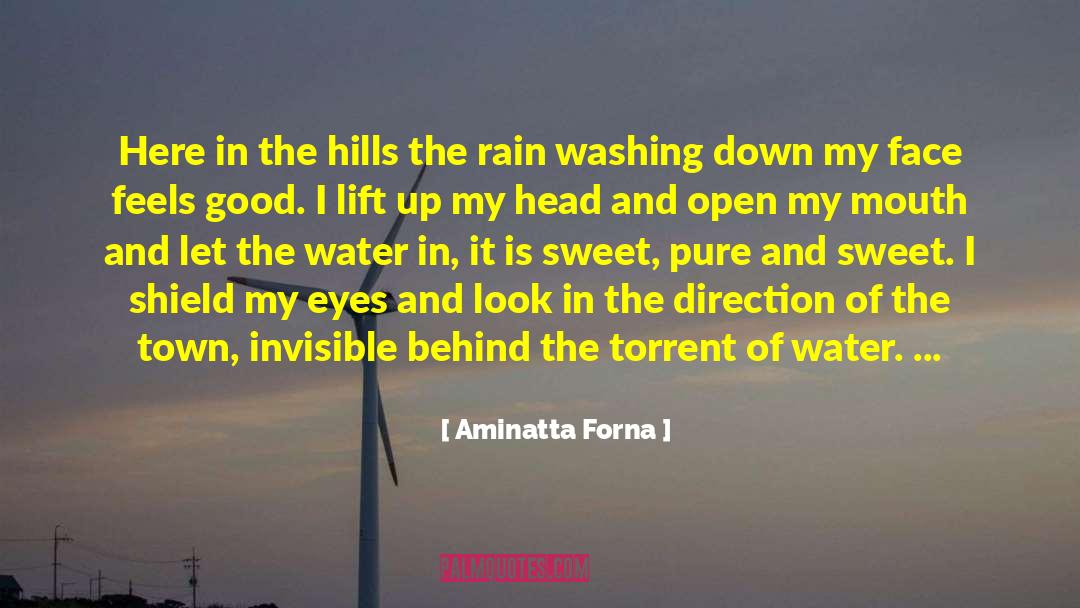 Rain Washing Away Pain quotes by Aminatta Forna