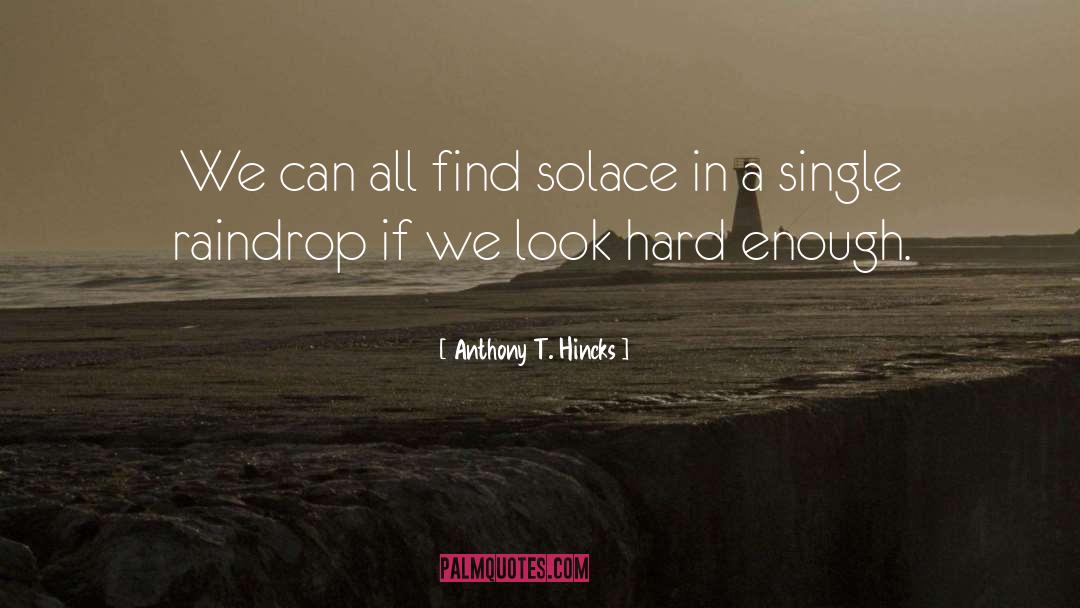 Rain Water Drop quotes by Anthony T. Hincks