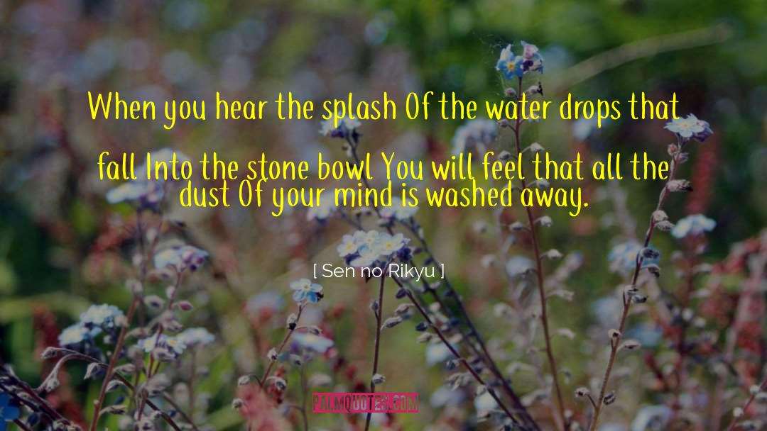 Rain Water Drop quotes by Sen No Rikyu