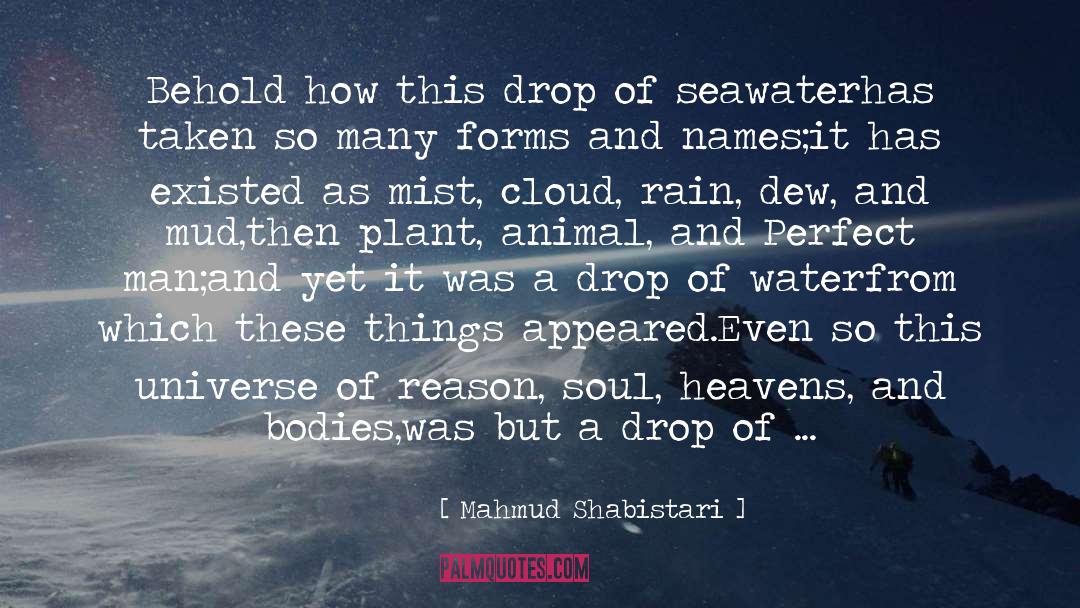 Rain Water Drop quotes by Mahmud Shabistari