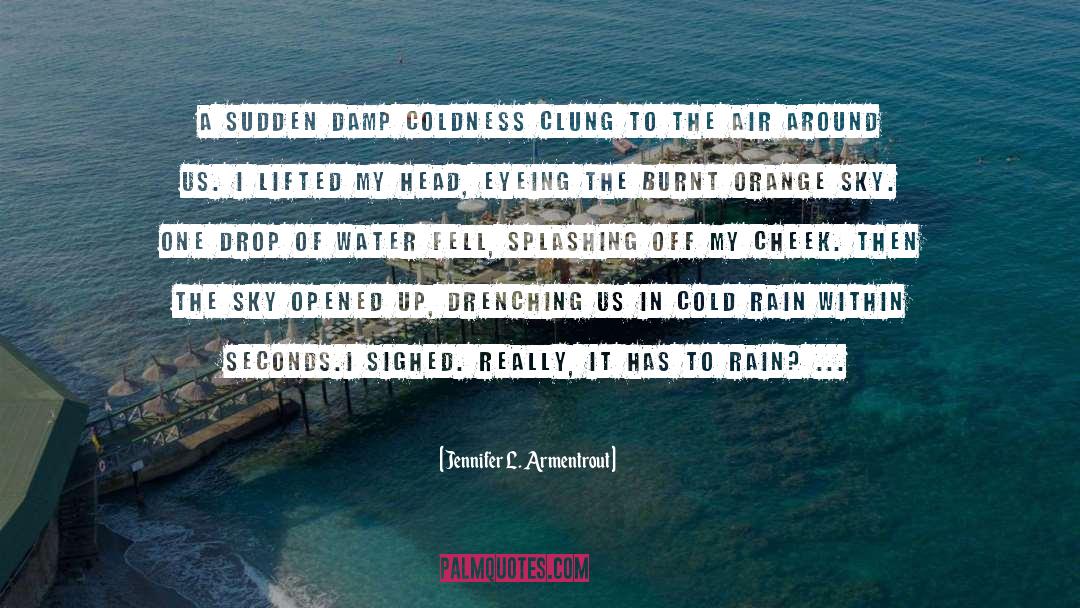 Rain Water Drop quotes by Jennifer L. Armentrout