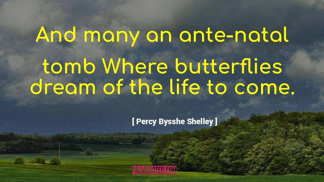 Rainbows And Butterflies quotes by Percy Bysshe Shelley
