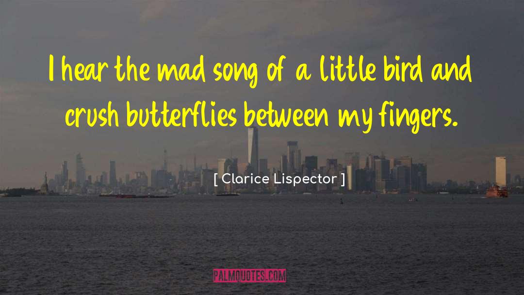 Rainbows And Butterflies quotes by Clarice Lispector