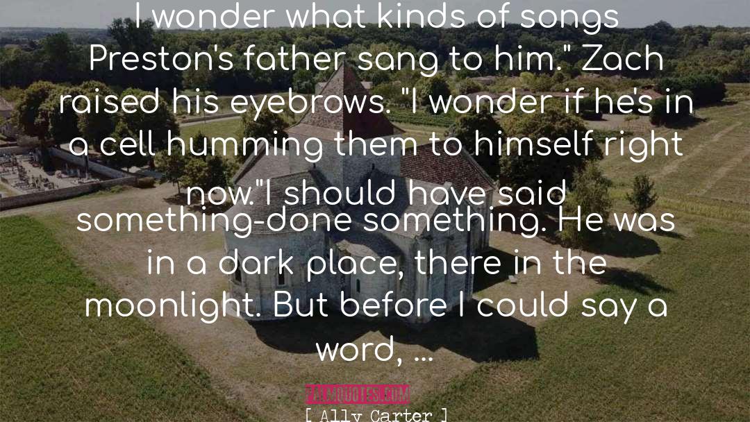 Rainbows In The Moonlight quotes by Ally Carter