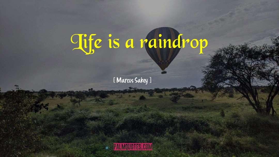 Raindrop quotes by Marcus Sakey