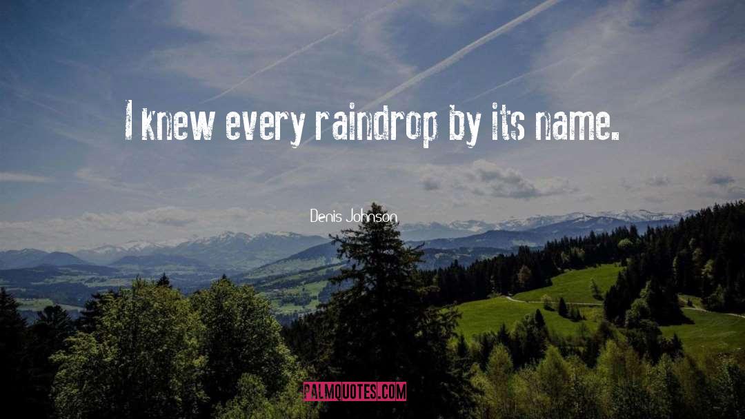 Raindrop quotes by Denis Johnson