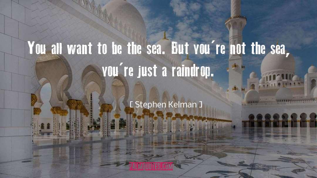 Raindrop quotes by Stephen Kelman