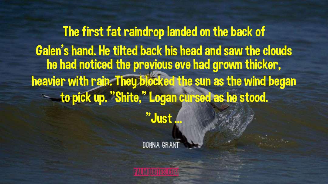 Raindrop quotes by Donna Grant
