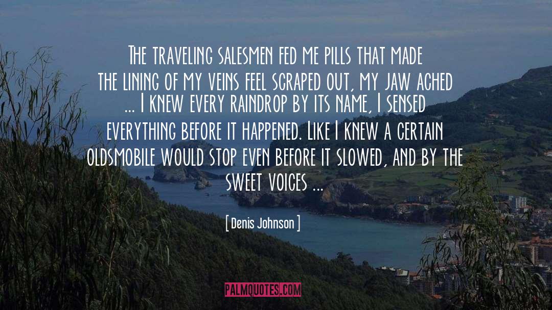 Raindrop quotes by Denis Johnson