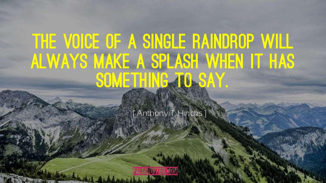 Raindrop quotes by Anthony T. Hincks