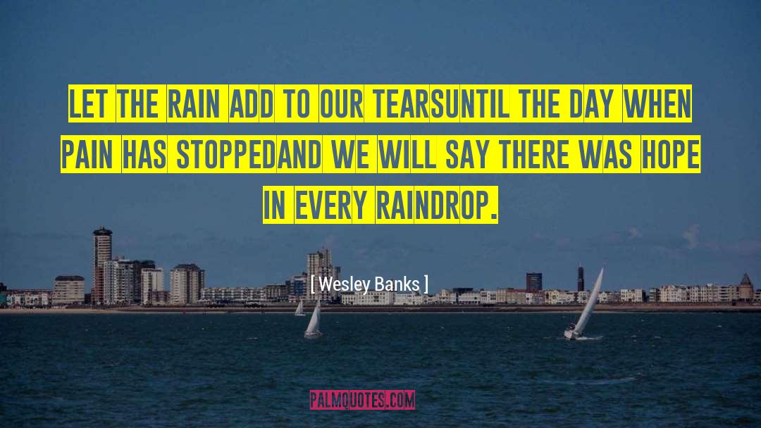 Raindrop quotes by Wesley Banks