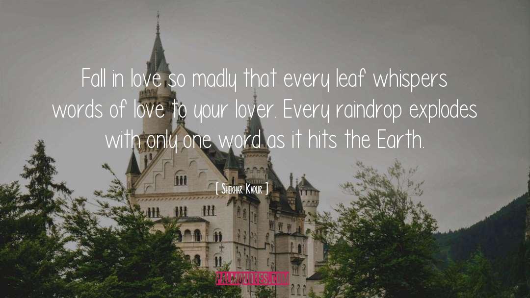 Raindrop quotes by Shekhar Kapur