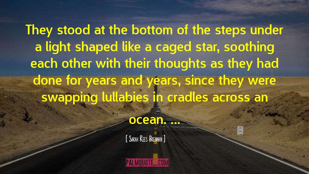 Raindrops In The Ocean quotes by Sarah Rees Brennan