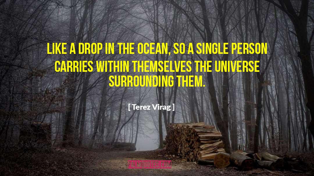 Raindrops In The Ocean quotes by Terez Virag