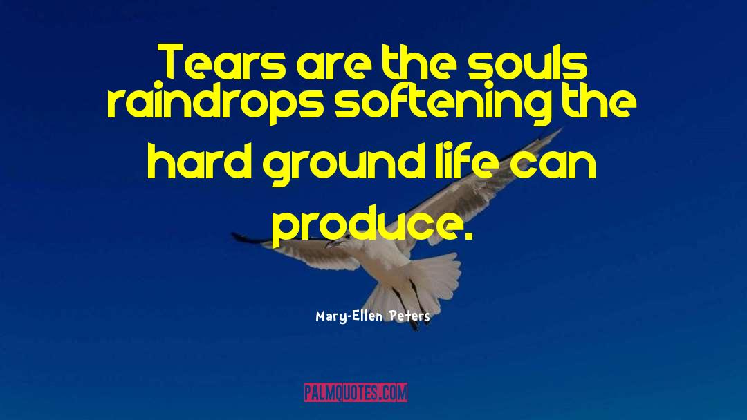 Raindrops quotes by Mary-Ellen Peters