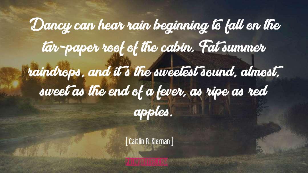 Raindrops quotes by Caitlin R. Kiernan