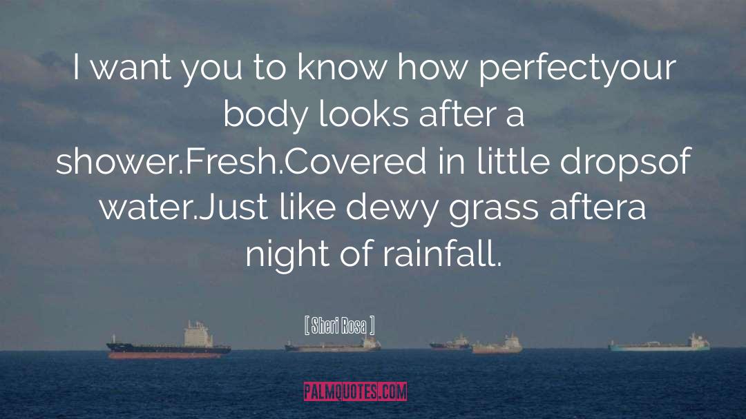 Rainfall quotes by Sheri Rosa