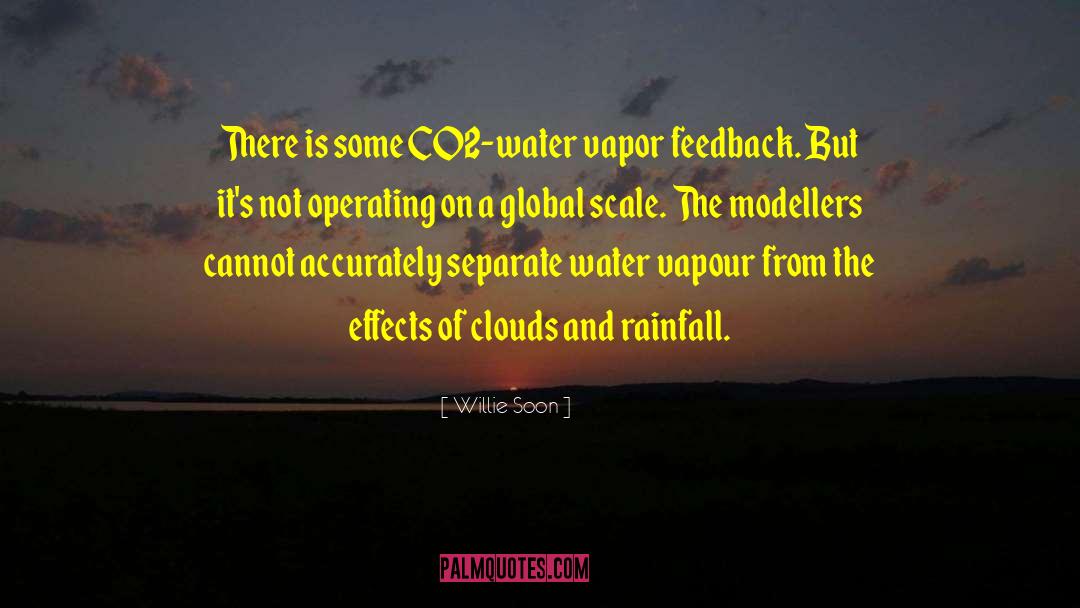 Rainfall quotes by Willie Soon