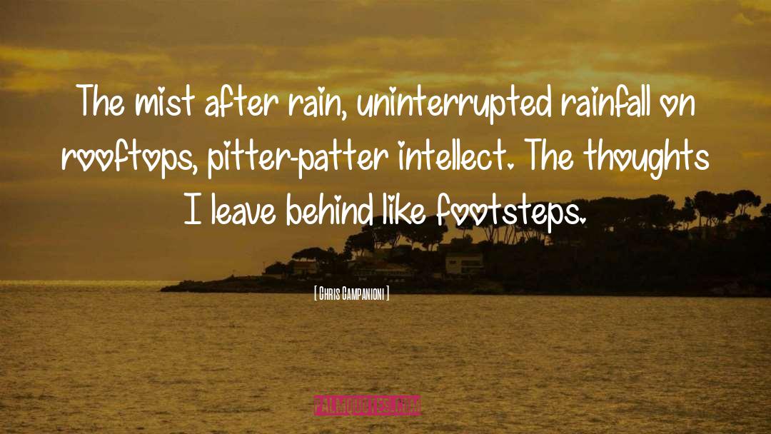 Rainfall quotes by Chris Campanioni